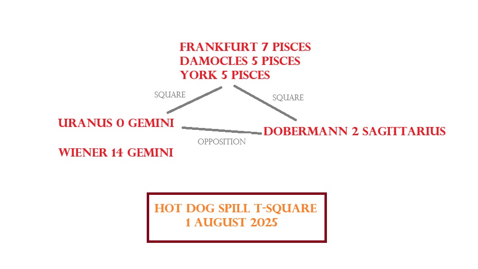 ANS hot dog hassle imahe1