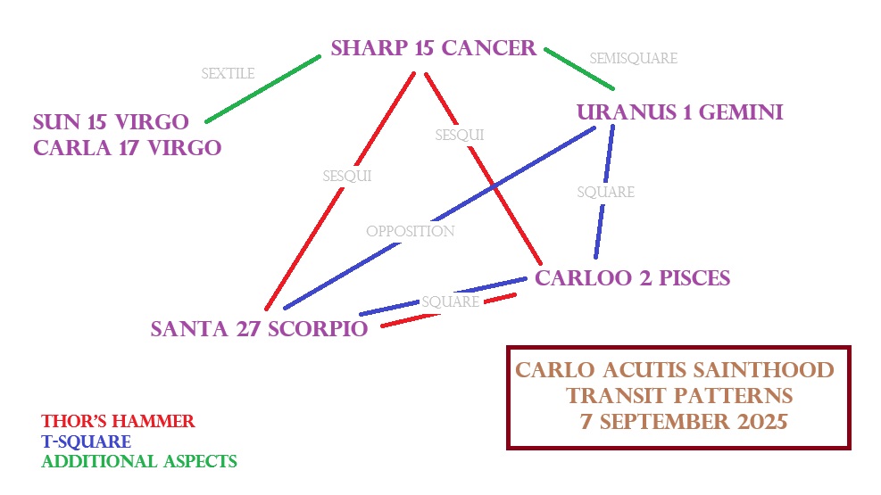 ANS carlo acutis image1