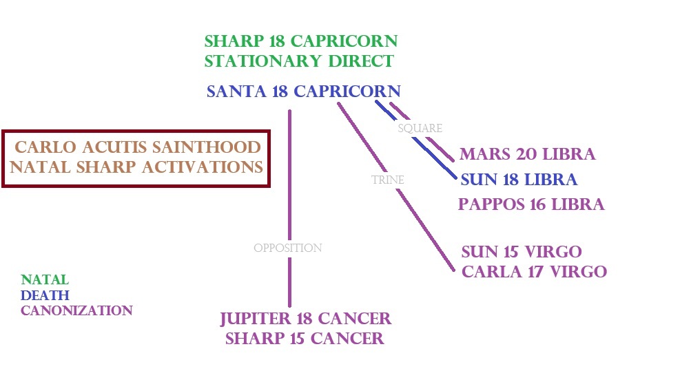 ANS carlo acutis image2