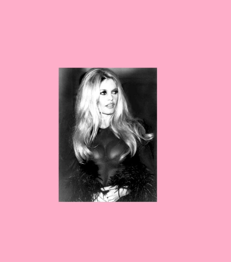 ANS bardot cover